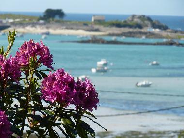 Villa in plouguerneau (Finist�re) oder Ferienwohnung oder Ferienhaus