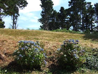 Villa in plouguerneau (Finist�re) oder Ferienwohnung oder Ferienhaus