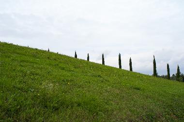 Ferienhaus in Lari (Pisa) oder Ferienwohnung oder Ferienhaus