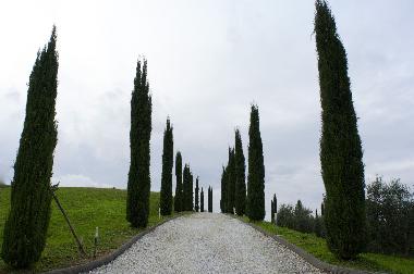 Ferienhaus in Lari (Pisa) oder Ferienwohnung oder Ferienhaus