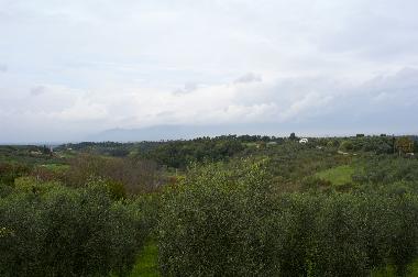 Ferienhaus in Lari (Pisa) oder Ferienwohnung oder Ferienhaus
