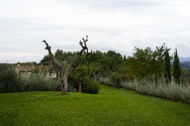 Ferienhaus in Lari (Pisa) oder Ferienwohnung oder Ferienhaus