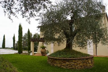 Ferienhaus in Lari (Pisa) oder Ferienwohnung oder Ferienhaus