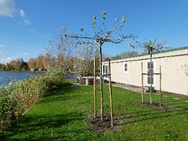 Chalet in Hoge Hexel (Overijssel) oder Ferienwohnung oder Ferienhaus
