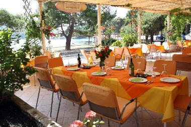 Pension in dubrovnik-zaton (Dubrovacko-Neretvanska) oder Ferienwohnung oder Ferienhaus