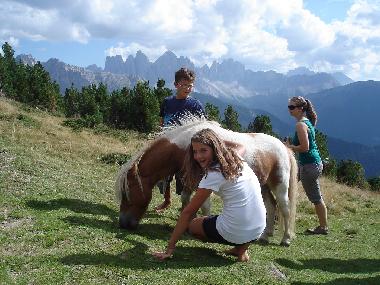 Rossalm - Tiere zum Anfassen