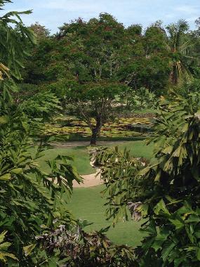 Ferienhaus in Katu (Phuket) oder Ferienwohnung oder Ferienhaus