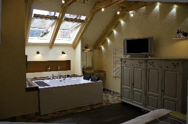 Villa in Brasov (Brasov) oder Ferienwohnung oder Ferienhaus