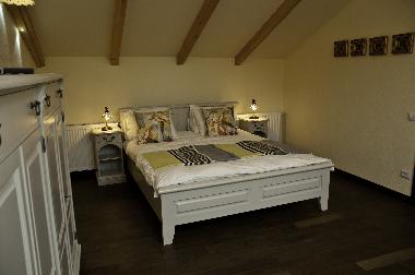 Villa in Brasov (Brasov) oder Ferienwohnung oder Ferienhaus