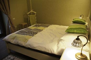 Villa in Brasov (Brasov) oder Ferienwohnung oder Ferienhaus