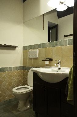 Villa in Brasov (Brasov) oder Ferienwohnung oder Ferienhaus