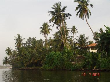 Bentota River