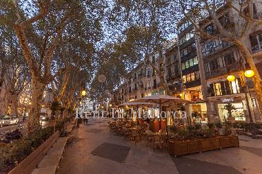 Ferienwohnung in Palma de Mallorca (Mallorca) oder Ferienwohnung oder Ferienhaus