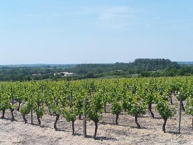 Ferienhaus in Chateau Guibert (Vende) oder Ferienwohnung oder Ferienhaus