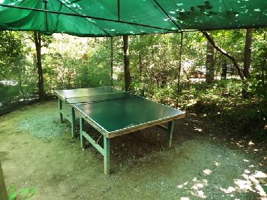 Ferienhaus in Oslnovice (Brnensky Kraj) oder Ferienwohnung oder Ferienhaus