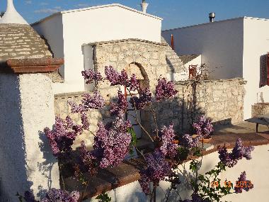 Ferienhaus in San Michele Salentino (Brindisi) oder Ferienwohnung oder Ferienhaus