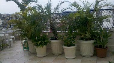 Ferienwohnung in Rio de Janeiro (Rio de Janeiro) oder Ferienwohnung oder Ferienhaus