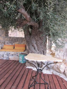 Sitzplatz unter dem alten Olivenbaum