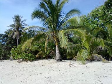 Villa in Caparispisan (Ilocos Norte) oder Ferienwohnung oder Ferienhaus