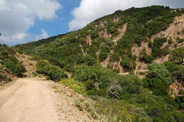 Chalet in Tarifa (C�diz) oder Ferienwohnung oder Ferienhaus