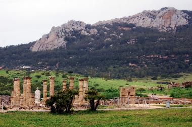 Chalet in Tarifa (C�diz) oder Ferienwohnung oder Ferienhaus