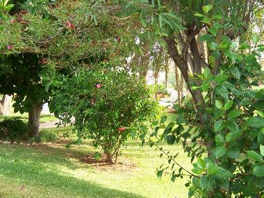 Chalet in Torreblanca del Sol (Mlaga) oder Ferienwohnung oder Ferienhaus