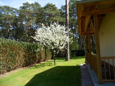 Ferienhaus in Bad Saarow (Oder-Spree) oder Ferienwohnung oder Ferienhaus