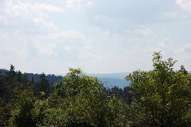 Blick �ber den naheliegenden Wald
