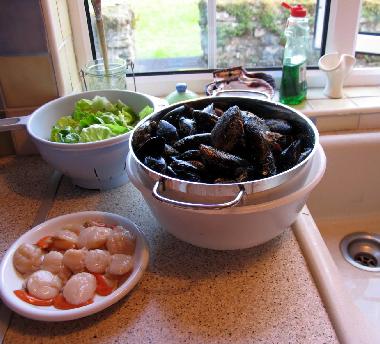 Kulinarischer Genu� direkt von unserem Fischer