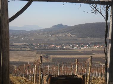 Ferienhaus in Nagyv�zsony (Veszprem) oder Ferienwohnung oder Ferienhaus