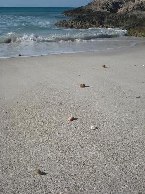 Ferienhaus in campos (Mallorca) oder Ferienwohnung oder Ferienhaus