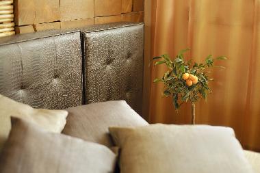 Ferienwohnung in Bansko (Blagoevgrad) oder Ferienwohnung oder Ferienhaus