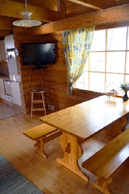 Ferienhaus in Hollola (Etela-Suomen Laani) oder Ferienwohnung oder Ferienhaus