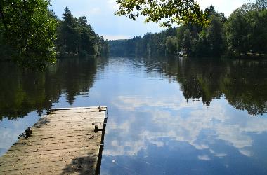 Ferienhaus in Sturzelbronn (Bas-Rhin) oder Ferienwohnung oder Ferienhaus
