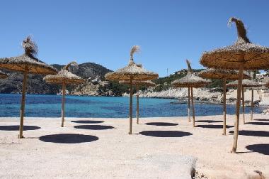 Villa in Camp de Mar (Mallorca) oder Ferienwohnung oder Ferienhaus