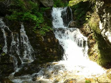 Ferienwohnung in Busteni (Prahova) oder Ferienwohnung oder Ferienhaus