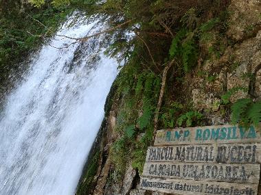 Ferienwohnung in Busteni (Prahova) oder Ferienwohnung oder Ferienhaus
