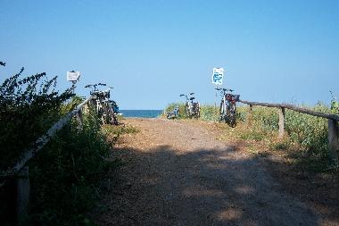 Ferienwohnung in Zingst (Fischland-Dar-Zingst) oder Ferienwohnung oder Ferienhaus