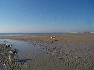 Ferienhaus in Lindbergh-PLage (Manche) oder Ferienwohnung oder Ferienhaus