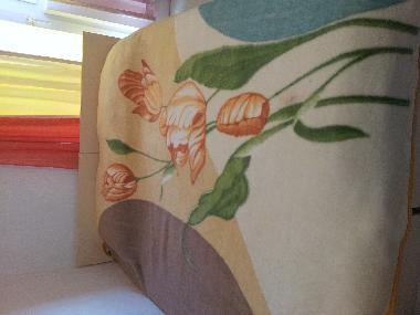 Ferienwohnung in Baska Voda (Splitsko-Dalmatinska) oder Ferienwohnung oder Ferienhaus