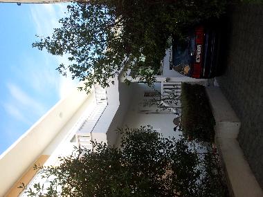 Ferienwohnung in Baska Voda (Splitsko-Dalmatinska) oder Ferienwohnung oder Ferienhaus