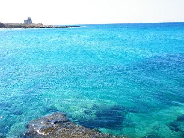 Villa in LEPORANO MARINA (Taranto) oder Ferienwohnung oder Ferienhaus