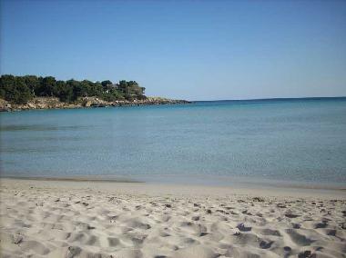 Villa in LEPORANO MARINA (Taranto) oder Ferienwohnung oder Ferienhaus