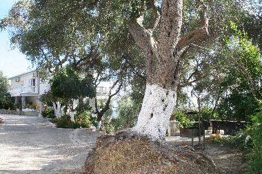 Ferienwohnung in Parga (Preveza) oder Ferienwohnung oder Ferienhaus