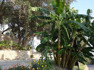 Ferienwohnung in Parga (Preveza) oder Ferienwohnung oder Ferienhaus