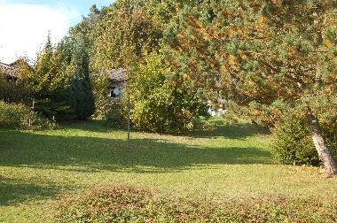 Bayerischer Wald Naur pur