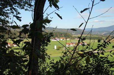 Bayerischer Wald - schn - gell?