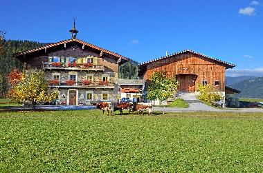 Ferienwohnung in Flachau (Pinzgau-Pongau) oder Ferienwohnung oder Ferienhaus