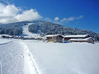 Ferienwohnung in Flachau (Pinzgau-Pongau) oder Ferienwohnung oder Ferienhaus