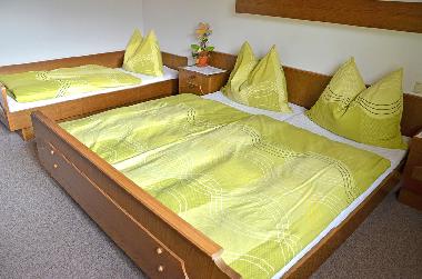 Ferienwohnung in Flachau (Pinzgau-Pongau) oder Ferienwohnung oder Ferienhaus